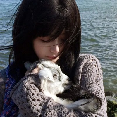 隆美尔宝藏
