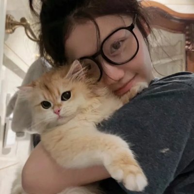 追捕连环杀手第三季