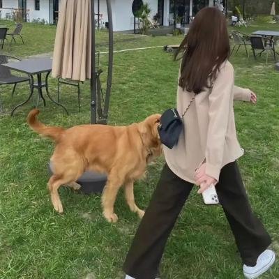 愿赌服输